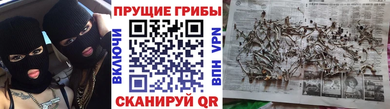 Купить  Семикаракорск  Галлюциногенные грибы мухоморы 